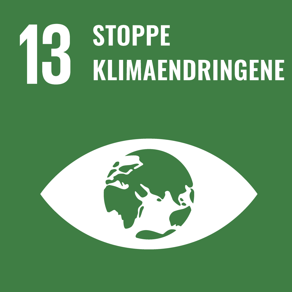 bærekraftsmål 13 Stoppe klimaendringene